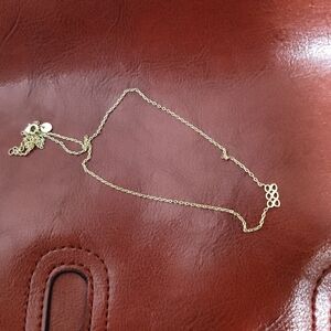 MUST BUNDLE - Pavoi Gold Plated 888 Elegant Gold Necklace